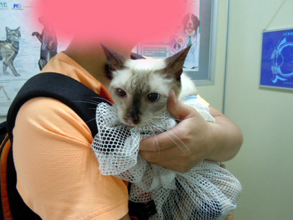 20120902_milk01.JPG