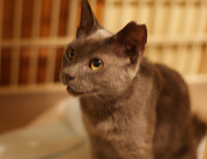 20120904home02.JPG