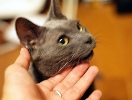 20120904home03.JPG