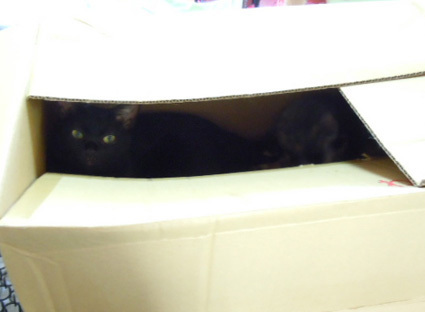 20120909home04.JPG