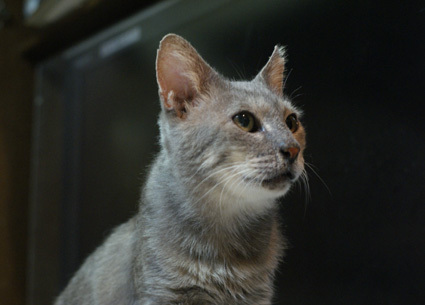 20120920home01.jpg