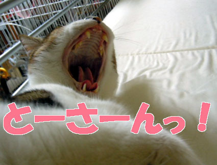 20120924home01Happy.JPG