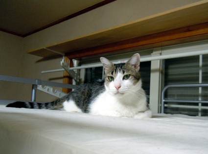 20120924home03.JPG
