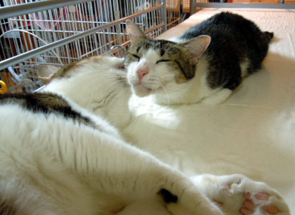 20120924home05.JPG