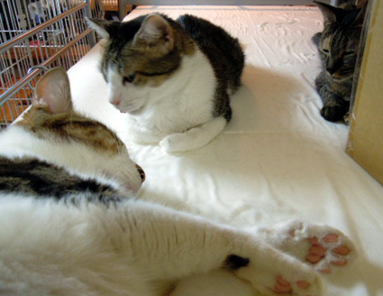 20120924home06.JPG