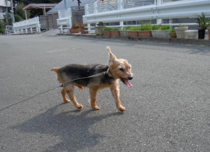 20120930home01.JPG