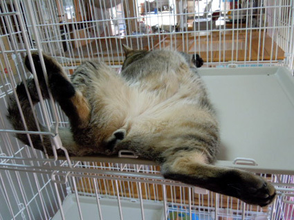 20120930home02.JPG