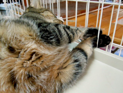 20120930home03.JPG