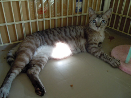 20120930home04.JPG