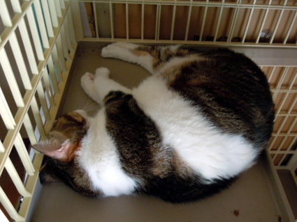 20120930home05.JPG