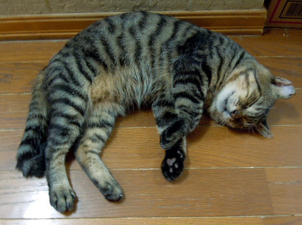 20120930home07.JPG