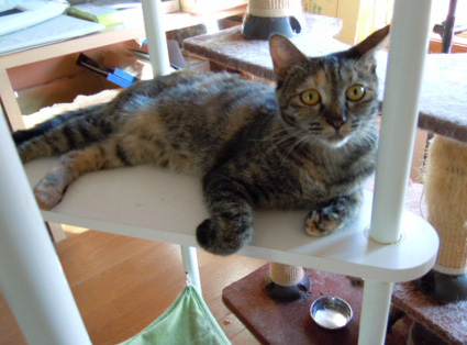 20120930home11.JPG