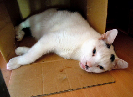 20120930home12.JPG