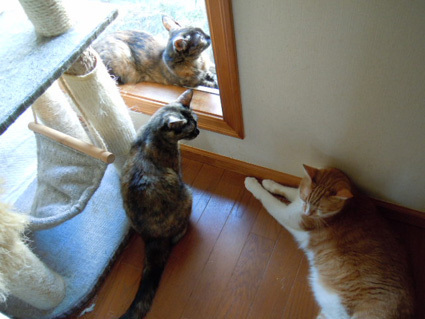20120930home13.JPG