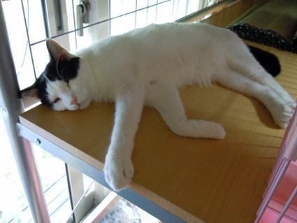 20120930home14.JPG