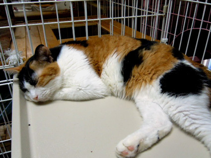 20120930home15.JPG
