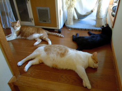 20120930home16.JPG