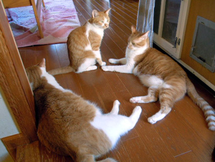 20120930home17.JPG