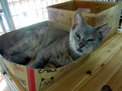 20120930home19.JPG