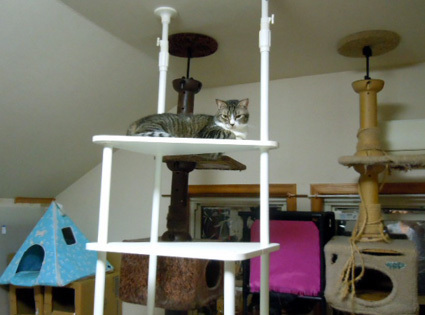 20121015home01.JPG