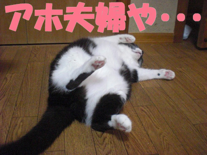 20121018home02.jpg