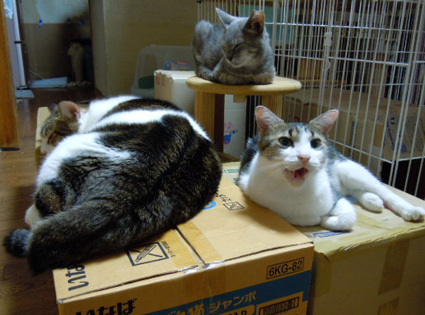 20121020home01.JPG
