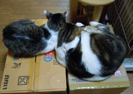 20121020home04.JPG