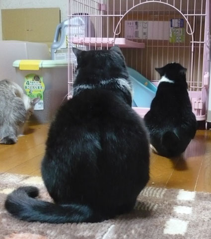 20121022home01.JPG