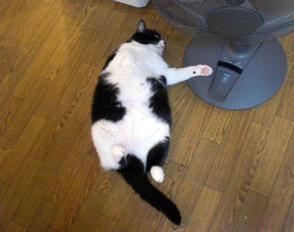 20121022home02.JPG