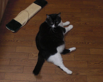20121022home03.JPG