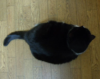 20121022home05.JPG