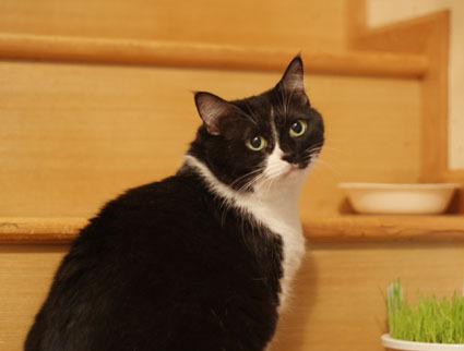 20121022home08.JPG