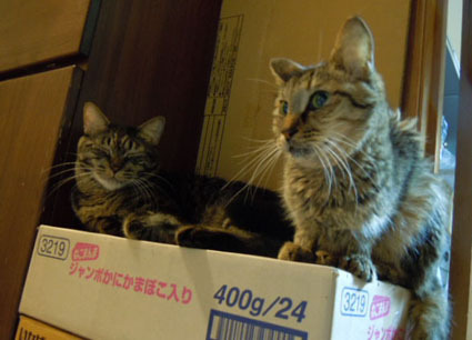 20121104home03.JPG