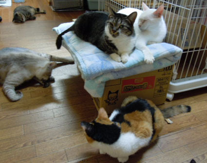 20121108home02.JPG