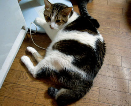 20121108home03.JPG