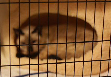 20121115home02.JPG