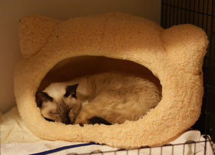 20121115home03.JPG