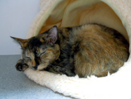 20121122home02.JPG