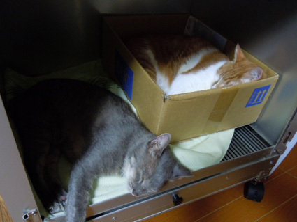 20121122home03.JPG