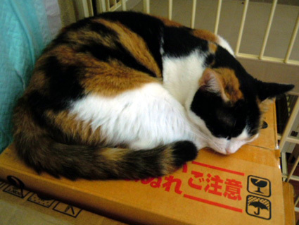 20121122home04.JPG