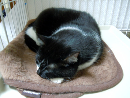 20121122home05.JPG