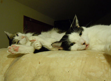 20121122home06.JPG