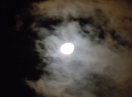 20121124park01.JPG