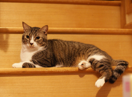 20121125home01.JPG