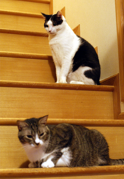 20121125home02.JPG