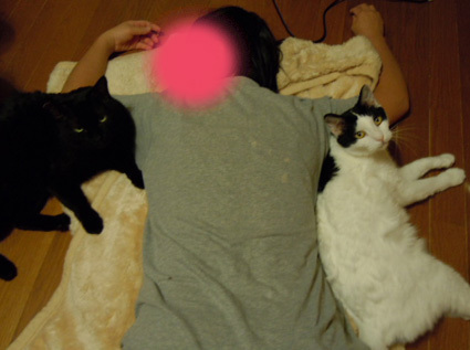 20121127home01.JPG