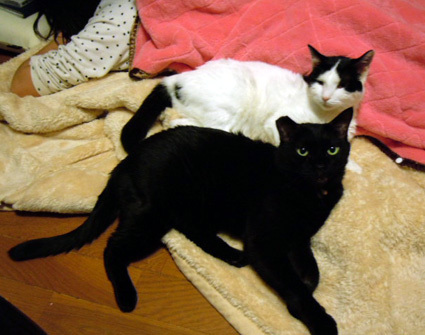 20121209home05.JPG
