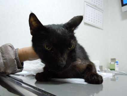 20121215hospital01_dai.jpg
