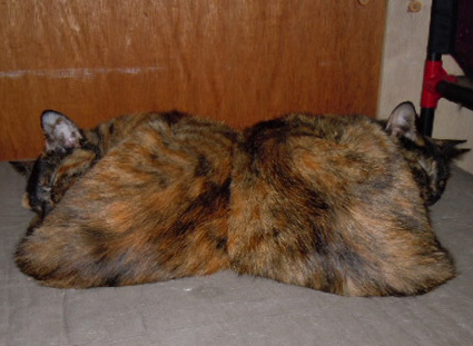 20121216home02.JPG