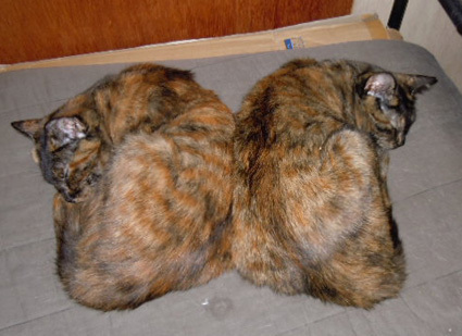 20121216home03.JPG